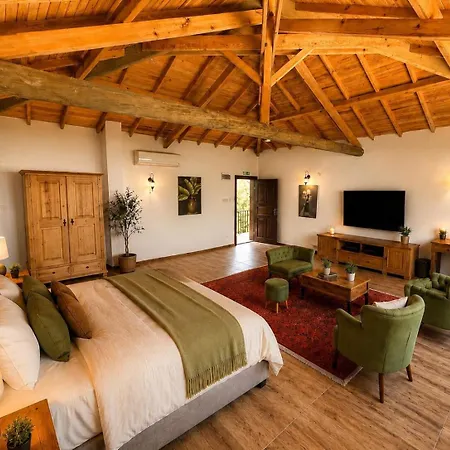 Hotel Lithos Assos
